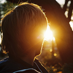 企业正版授权的电话轰炸免费在线网站